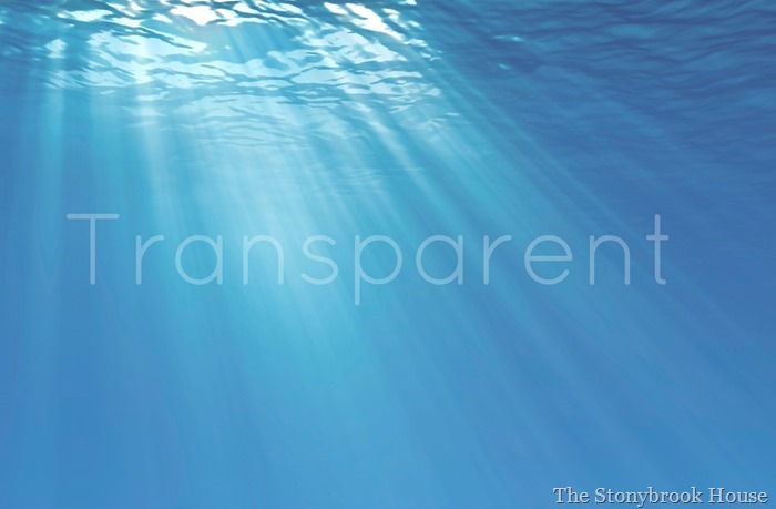 Transparent Transparent