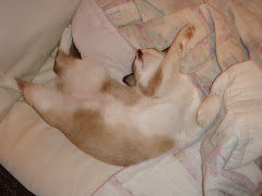 Lola - Fase 3