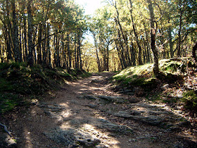 Ruta de Colmenar Viejo al puerto de Cotos. Octubre 2012