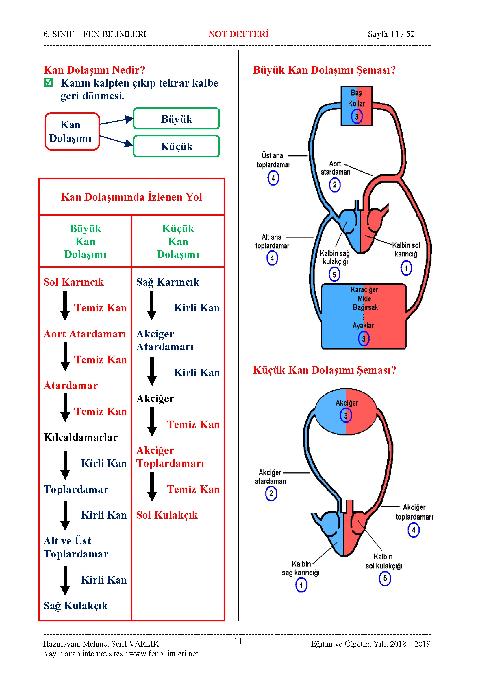 Fen Bilimleri 6.Sınıf Özet Ders Notu, Konu Anlatımı Pdf