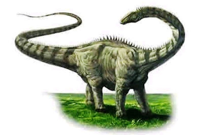  Ada beberapa hal yang rumit untuk memilih dinosaurus terbesar di dunia Pintar Pelajaran Dinosaurus Terbesar Di Dunia