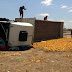 Caminhão carregado de tangerina tomba em Capim Grosso