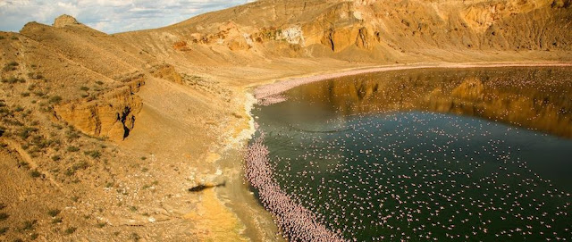 lake turkana, turkana lake, lake turkana map, lake turkana kenya, lake turkana kenya, lake turkana, kenya, envaitenet island, lake rudolf, where is lake turkana, lake rudolf africa, east turkana,