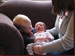 IMG_6358 IMG_6358