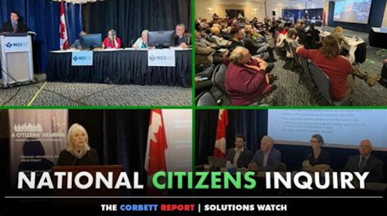 Canada National Citizens Inquiry COVID vaccines politics witnesses testimonies mandates restrictions vaccines harms injuries