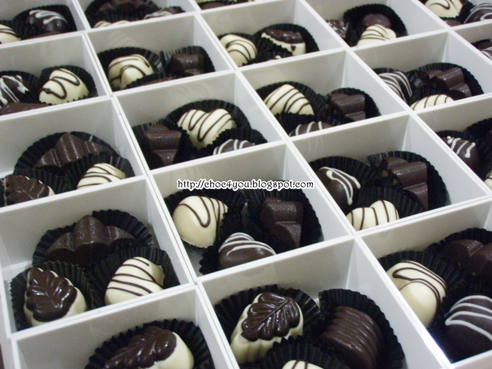 Welcome 2 :: Coklat Doorgift ~ Shira