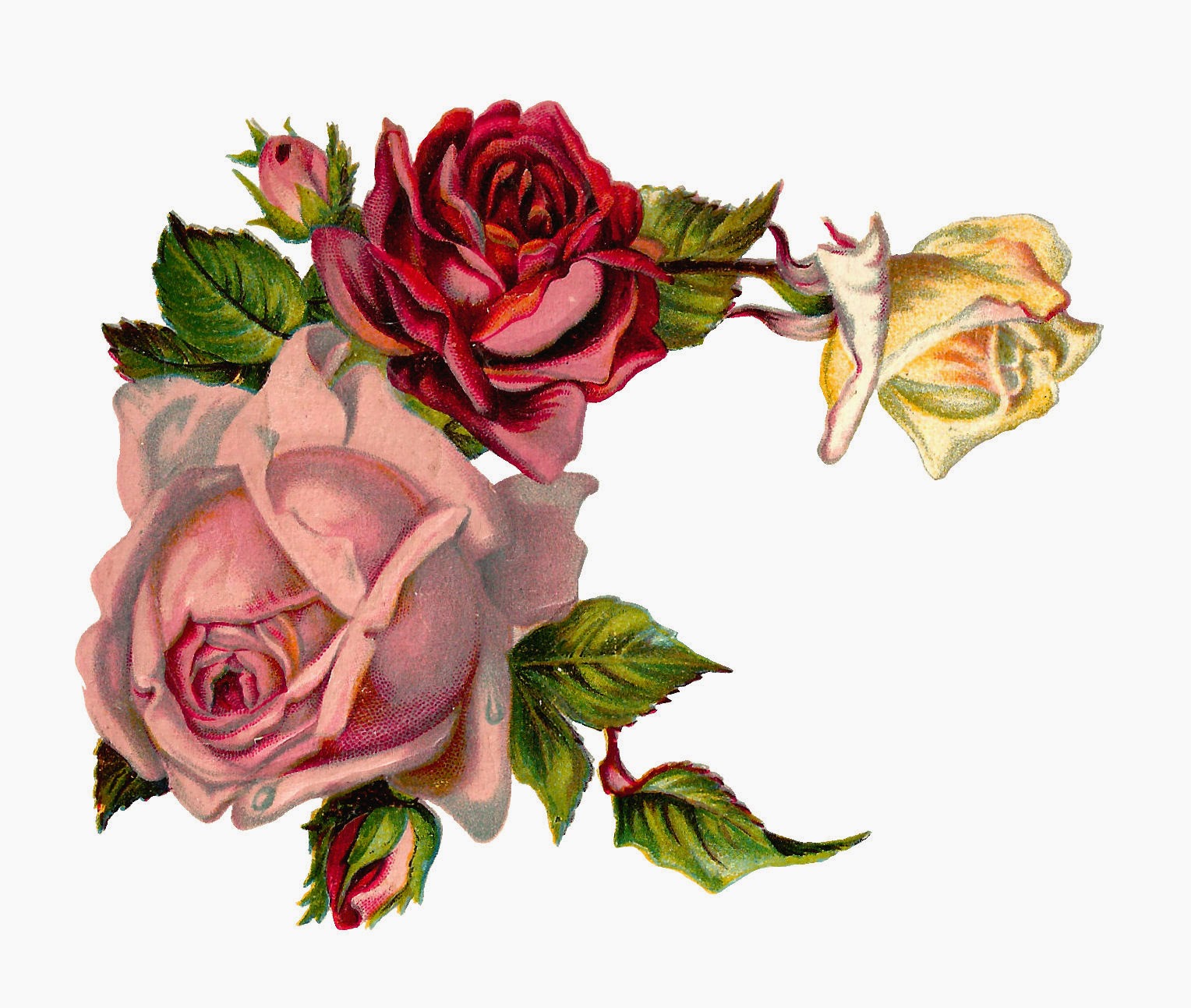 Rose Floral Design 8