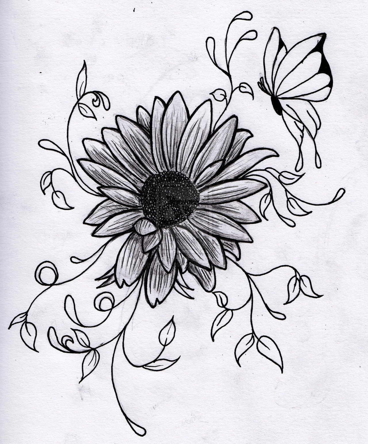 Flower Drawing