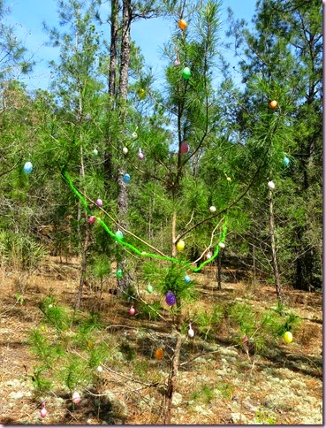 EasterIMG_2578