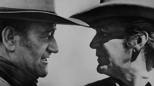 Chisum 1970 online subtitulada