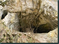 DSCN8415