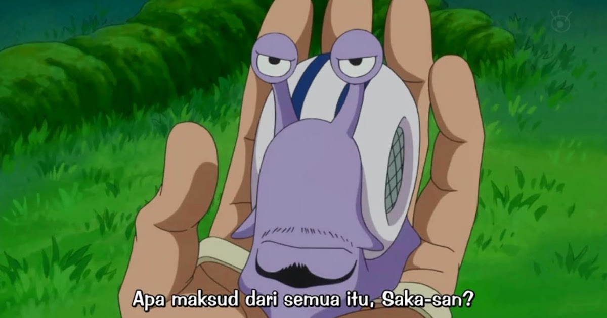 TIDAK ADA KATA TERLAMBAT UNTUK BELAJAR: one piece episode 