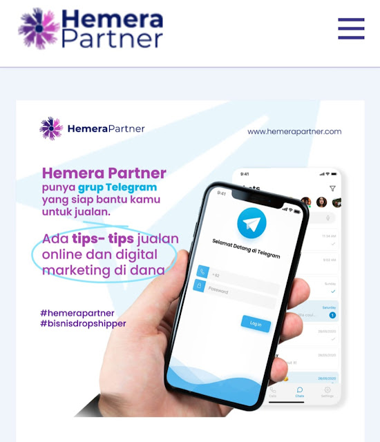 Hemera Partner