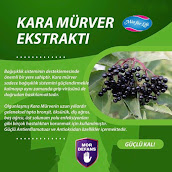 Kara mürver nedir 