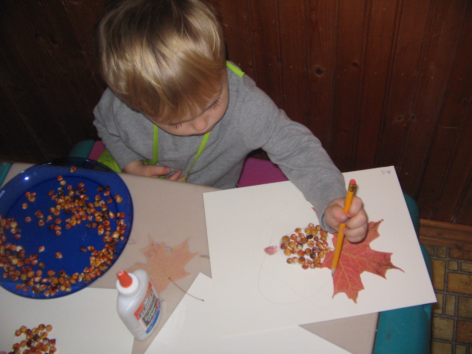 art and soul preschool: Leaf Creations