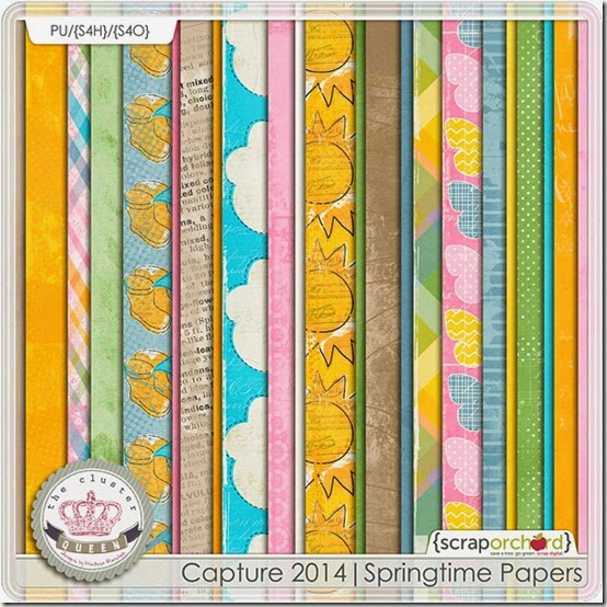 cqc_cap2014_springpapers_folder