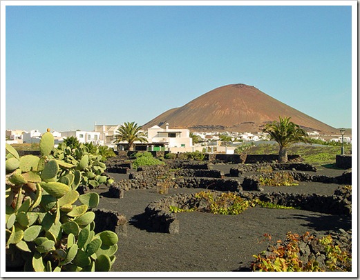 lanzarote_657