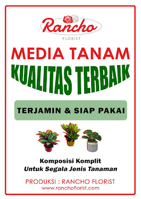 Media Tanam Terbaik