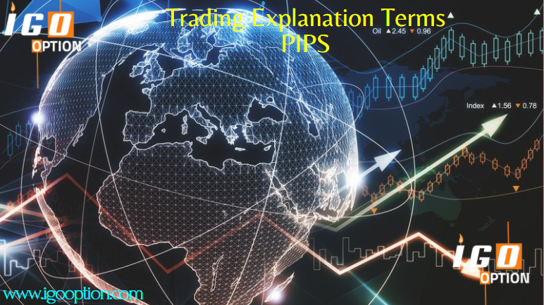 HOW DO I DETERMINE PROFIT OR LOSS?