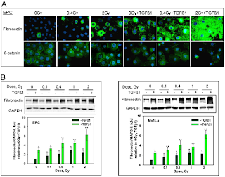 journal report of proton radiation effect