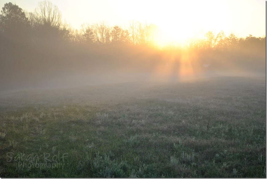 sunshine-rays-at-dawn