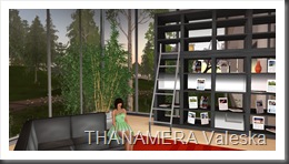 Snapshot_021