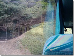 IMG_20120323_154626
