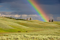 Rainbow Field - Photo by Todd Cravens on Unsplash