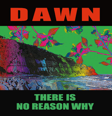 DEBAUCH MOOD12枚目のリリースは、青森にて結成～東京にて活動を行うPOWER/MELODIOUS/DRIVING 正攻法STRAIGHT JAPANESE ALTERNATIVE PUNK  TRIO『DAWN-THERE IS NO REASON WHY(10")』