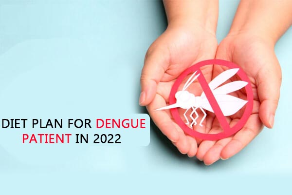 Diet Plan for Dengue Patient in 2022