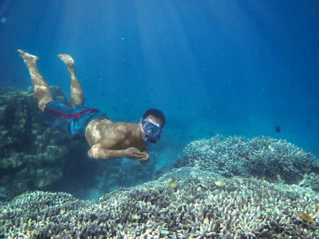 Tanjung Karang  Surga Penyelam  di Teluk Palu