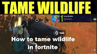 How to hunt wildlife in Fortnite Chapter 2, season 6