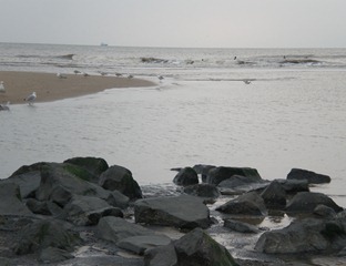 P6120042