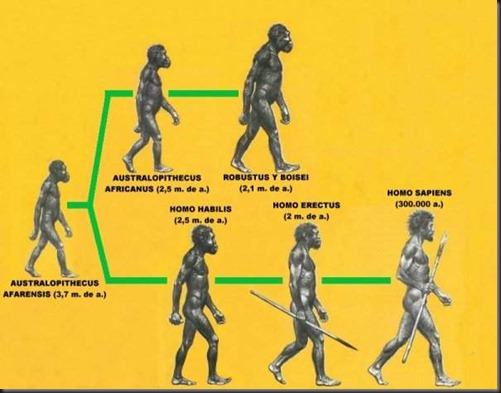 EVOLUCIONDELHOMBRE