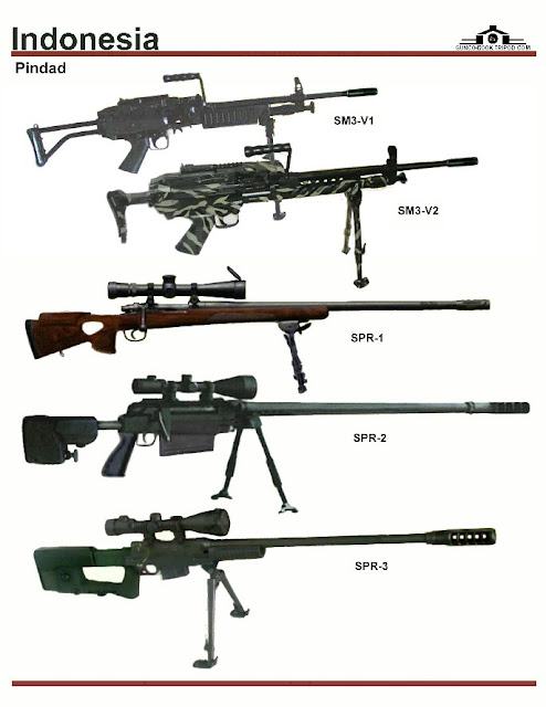 PINDAD WEAPONS