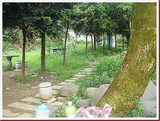 DSC06515