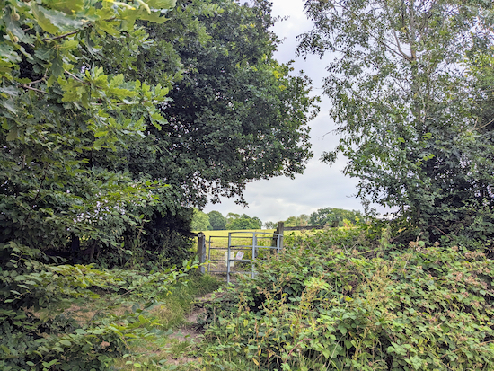 Go through a metal gate then follow Hatfield footpath 85