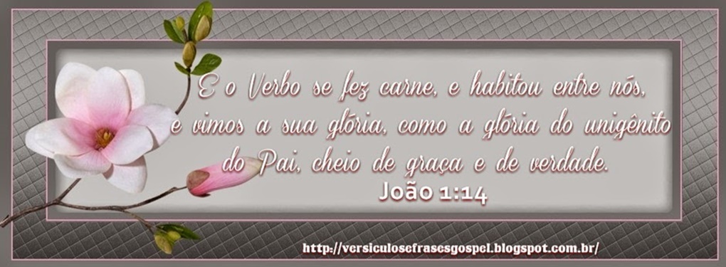 versiculos da biblia sagrada