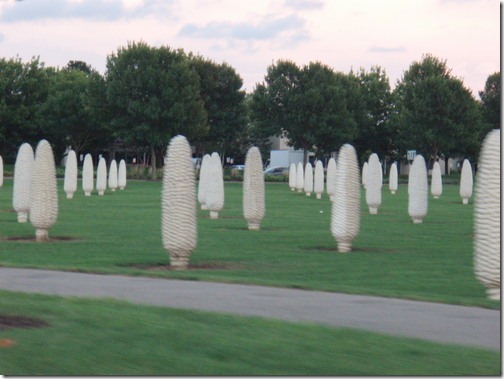 fieldofcorn1