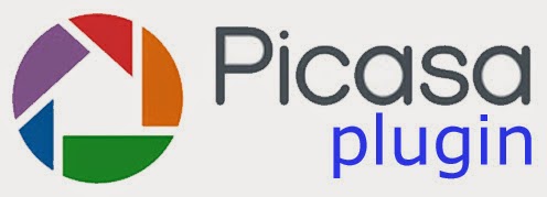 Current Version Plugin Picasa