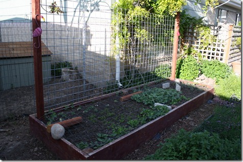 May 2012 035
