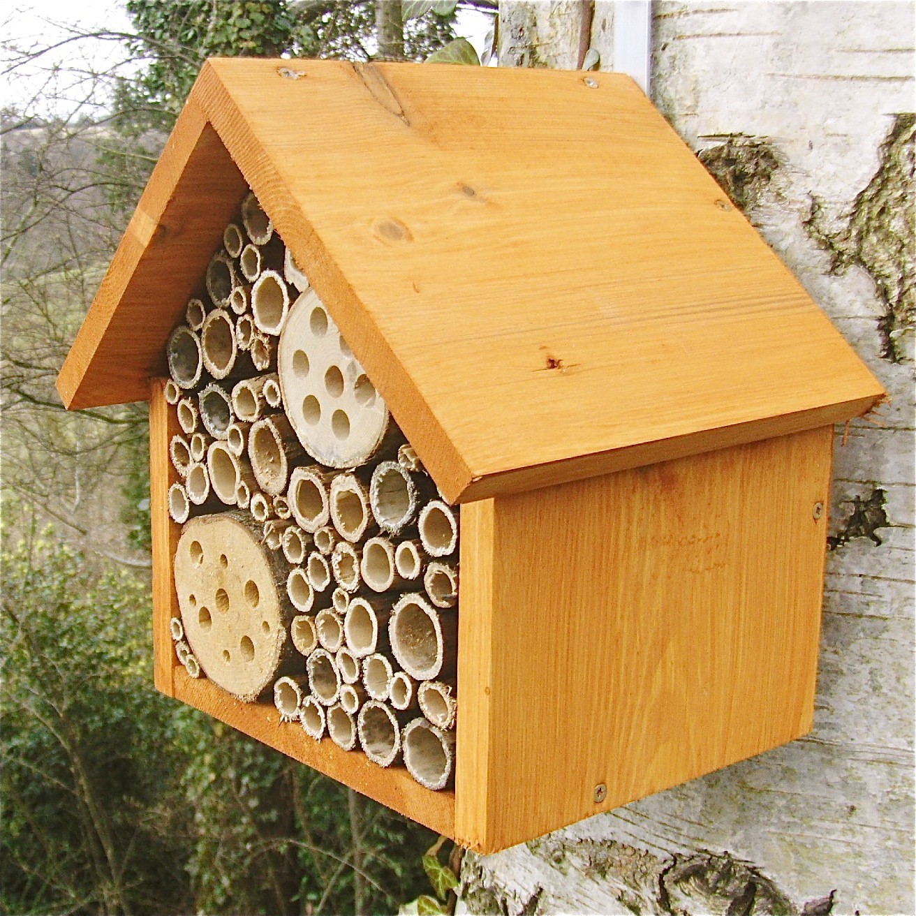 magpie and cake: Five-Star Bee Hotels