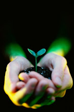 Blog amigo da Terra