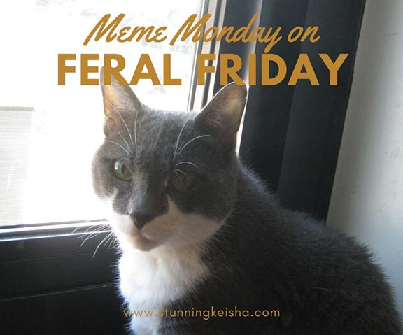 Meme Monday on Feral Friday