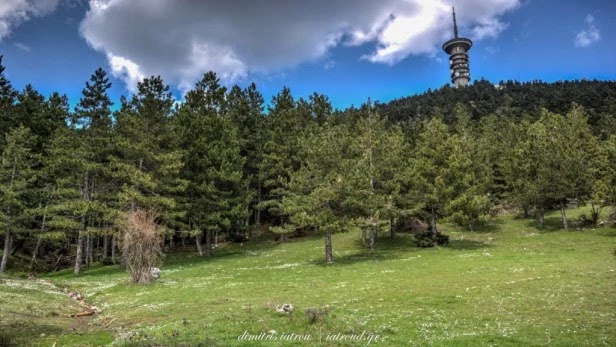 Πάρνηθα 10 χρόνια μετά την πυρκαγιά (Nτοκιμαντέρ)