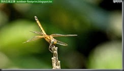 20140821_130540_022_BotanicalGarden-fb