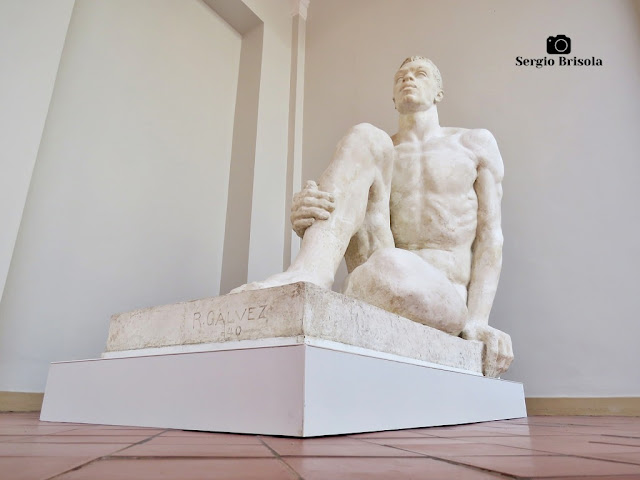 Vista em perspectiva artística da Escultura O Brasileiro na Pinacoteca de São Paulo