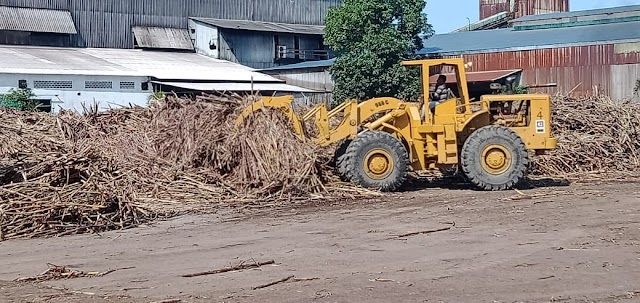 Pabrik Gula Kwala Madu Lakukan Penggilingan Tebu 3.200 Ton  