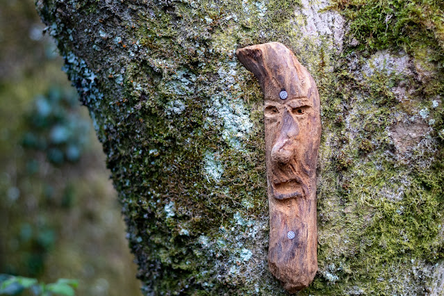 Faces in the woods