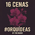 16 Cenas-Orquideas